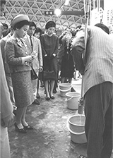 1967年