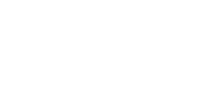 鹿沼箒 Kanuma houki