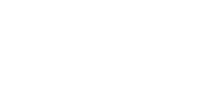 棕櫚箒 Shuro houki